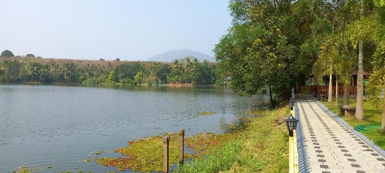 Sparrow Vale Resort Kotamangalam Zewnętrze zdjęcie